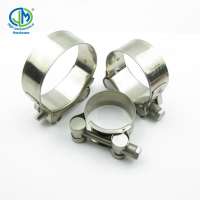 American type screw band worm gear hose clamps