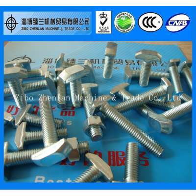 Grade 10.9 T Head Bolt/T Slot Bolts/High Tension T Bolt for car