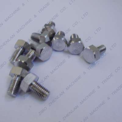 Stainless Steel 307 Hex Bolt/Hexagon Bolts With Nut washer/stainless bolt for micro machine